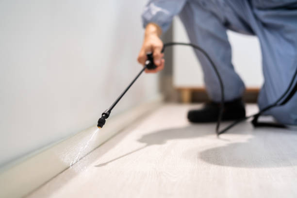 Licensed Ant Control service in Hamlin, WV - Nex Pest Control