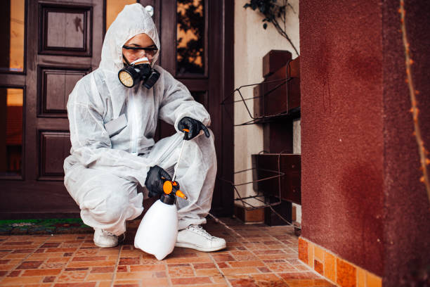 Reliable Ant Control contractor in Hamlin, WV by Nex Pest Control